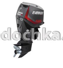 Мотор лодочный Evinrude E 250 ...