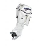 Мотор лодочный Evinrude E 40 DSL