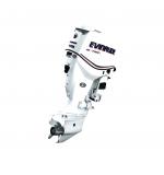 Мотор лодочный Evinrude E 175 ...