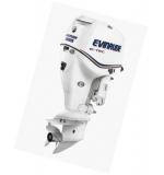 Мотор лодочный Evinrude E 225 ...