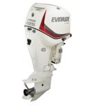 Мотор лодочный Evinrude E 225 ...