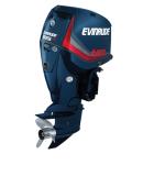 Мотор лодочный Evinrude E 225 ...