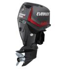 Мотор лодочный Evinrude E 225 ...