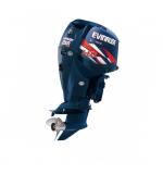 Мотор лодочный Evinrude E 250 ...