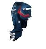 Мотор лодочный Evinrude E 250 ...