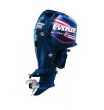 Мотор лодочный Evinrude E 250 ...
