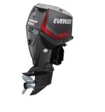 Мотор лодочный Evinrude E 250 ...