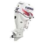 Мотор лодочный Evinrude E 250 ...