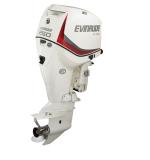 Мотор лодочный Evinrude E 250 ...