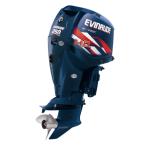 Мотор лодочный Evinrude E 250 ...