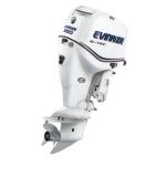 Мотор лодочный Evinrude E 250 ...