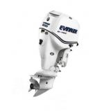 Мотор лодочный Evinrude E 300 ...