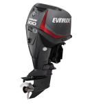 Мотор лодочный Evinrude E 300 ...