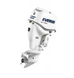 Мотор лодочный Evinrude E 300 ...