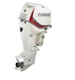 Мотор лодочный Evinrude E 300 ...